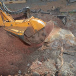 rognage de souche gard - dessouchage professionnel - abatout