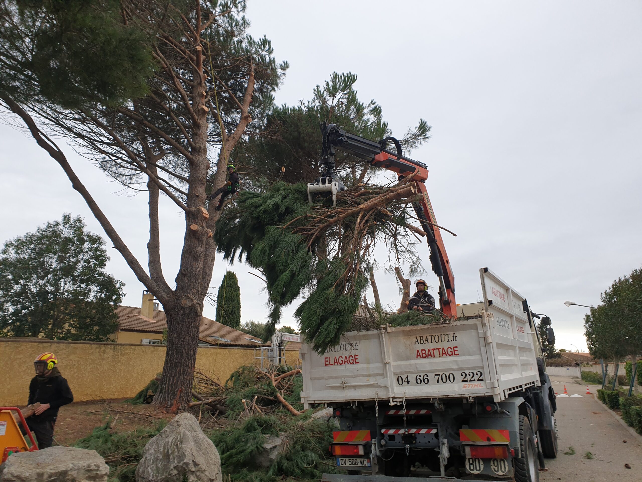 abattage arbres garons gard - entreprise abattage abatout