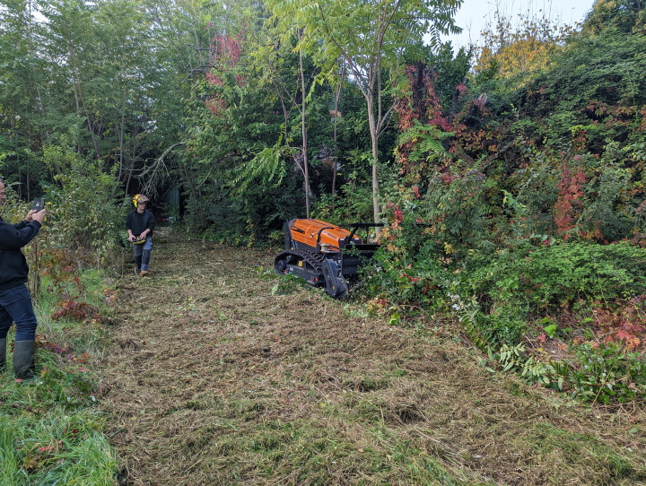 débroussaillage Caissargues