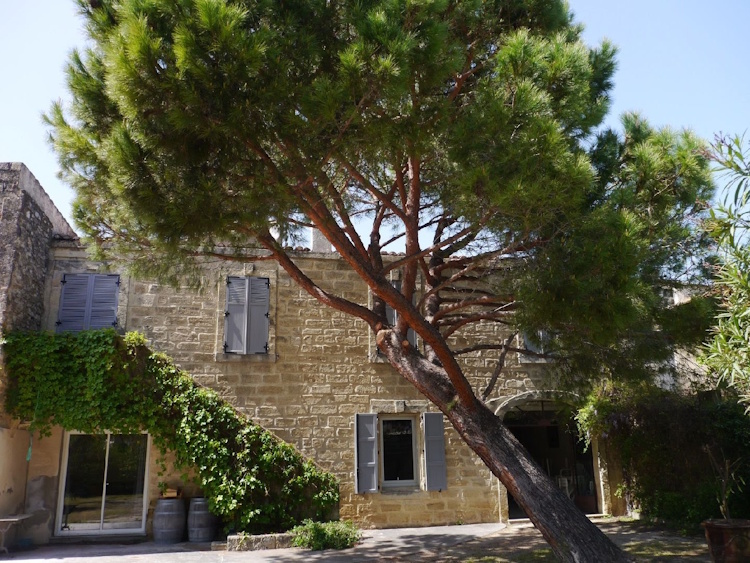 entreprise elagage Marguerittes - sarl abatout