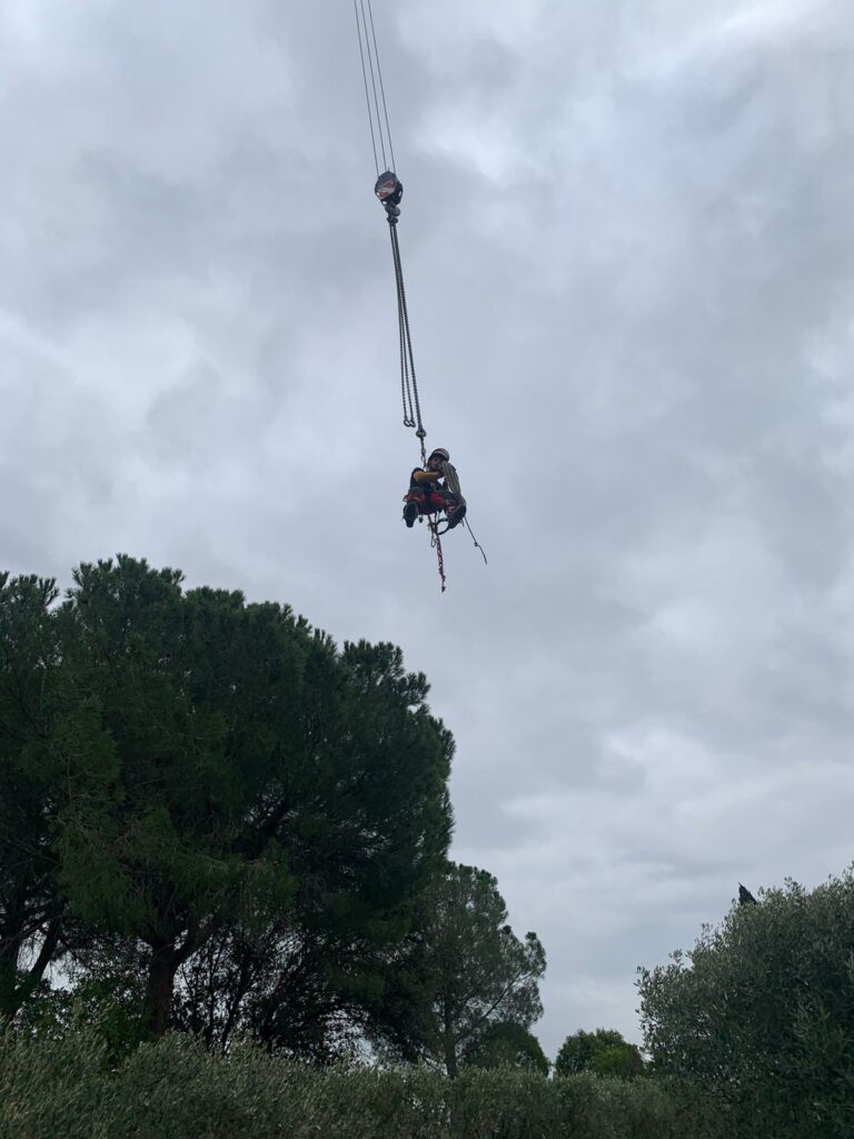 entreprise élagage Aubord - Sarl Abatout