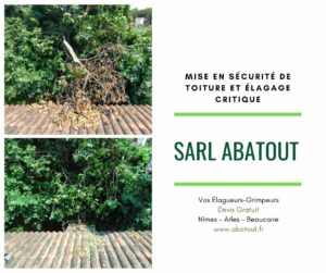 Que faire en cas d&rsquo;arbre ou branche brisé par le vent dans le Gard ou Bdr (Tarascon Beaucaire Arles) : Mise en sécurité de toiture et élagage critique
