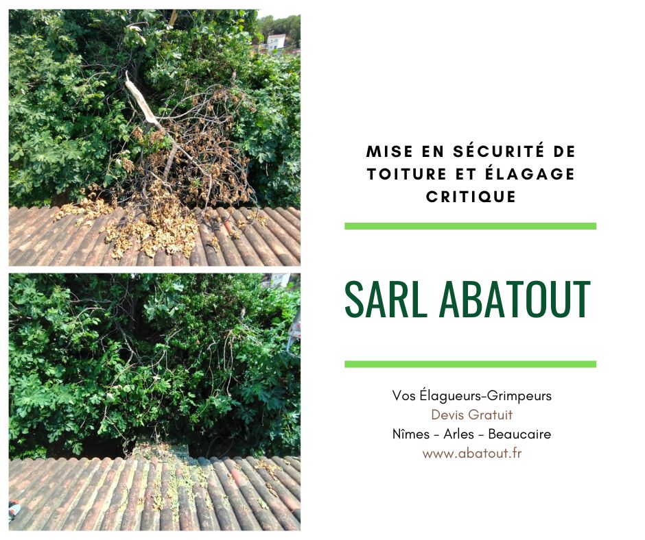 Mise en sécurité arbre branche et élagage Gard Bouches-du-Rhône